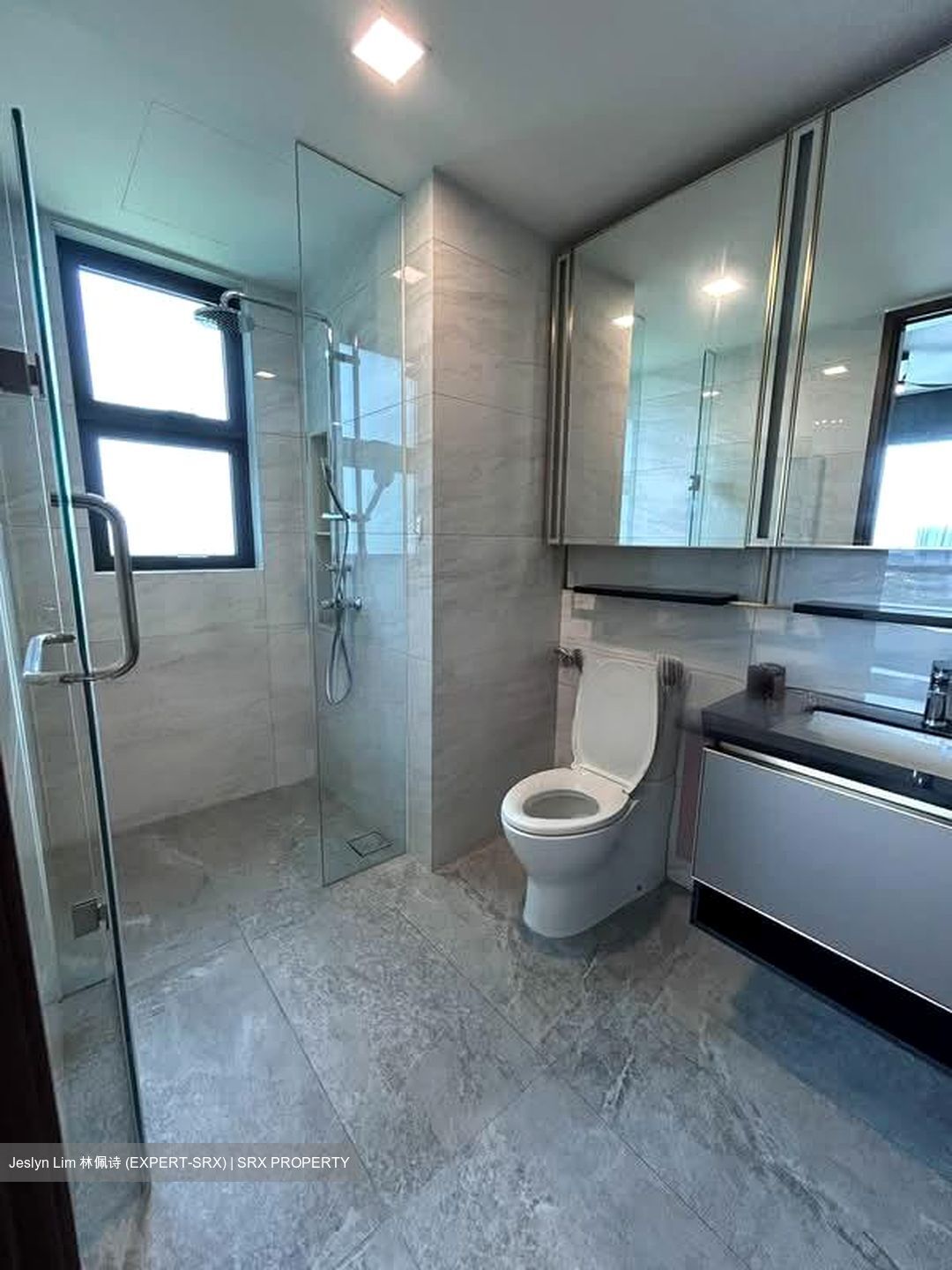 Normanton Park (D5), Apartment #551935541